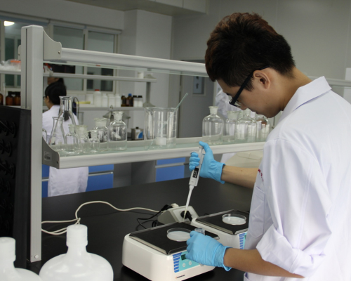 cientista pesquisando