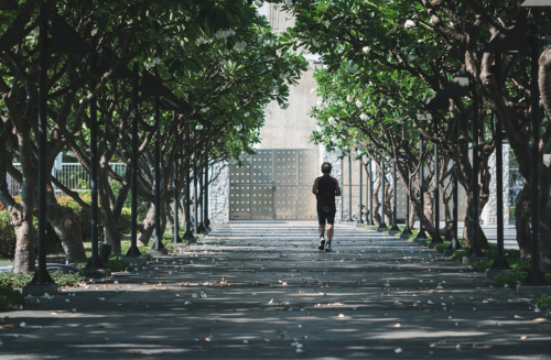 jardim-do-bem-estar-saude-bem-estar-corrida-de-rua-e1724504780137 Como Criar um Plano de Exercícios Personalizado para Sua Recuperação de Lesão.