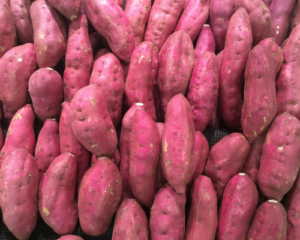 batata-doce